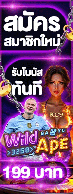 โปรโมชั่น 1